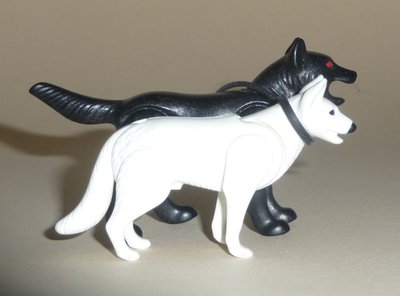 Wolf -Hund.JPG