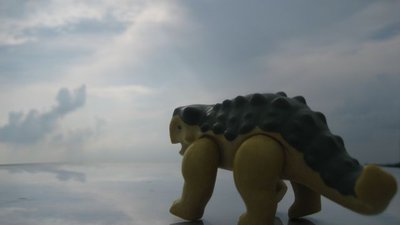IMG_7561k.jpg