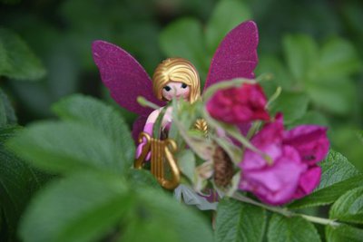 DSC_2457k.jpg