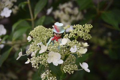 DSC_3112k.jpg