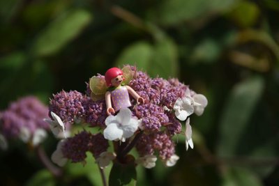 DSC_3123k.jpg