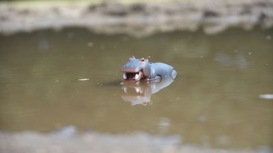 DSC_3129k.jpg