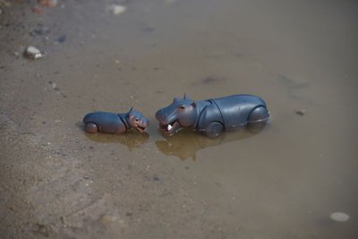 DSC_3139k.jpg