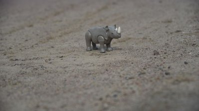 DSC_3142k.jpg