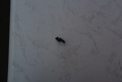 DSC_3166k.jpg