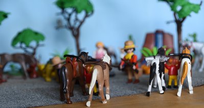 DSC_4098.JPG