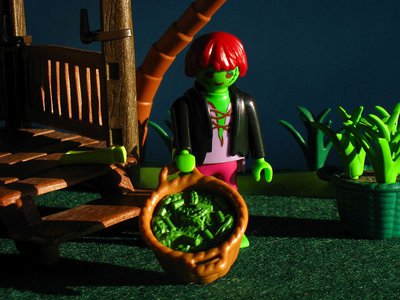 warp-wasabi 4.jpg