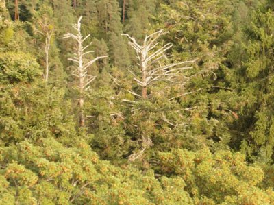 2016-09-03 14.39.36.jpg (367.49 KiB) 12494 mal betrachtet 2016-09-03 14.39.36.jpg