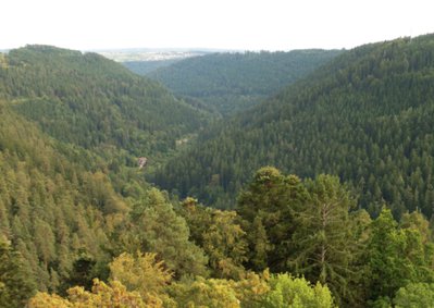 2016-09-03 14.39.17.jpg (290.21 KiB) 12234 mal betrachtet 2016-09-03 14.39.17.jpg