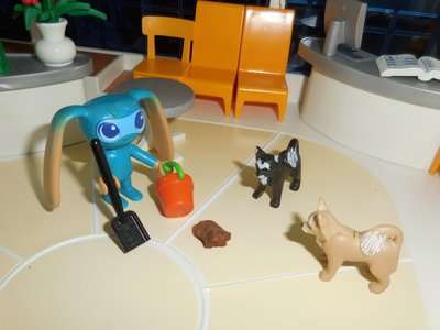 060.JPG