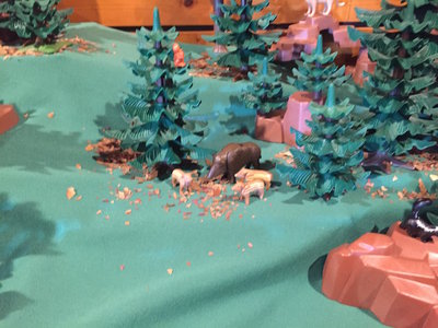 IMG_1346.jpg (147.36 KiB) 3579 mal betrachtet IMG_1346.jpg