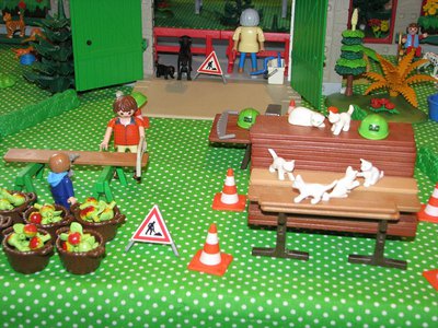 k-IMG_0343.JPG