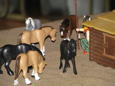 k-IMG_0509.JPG (82.03 KiB) 2103 mal betrachtet k-IMG_0509.JPG