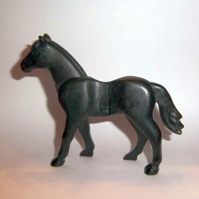 pferd2.jpg