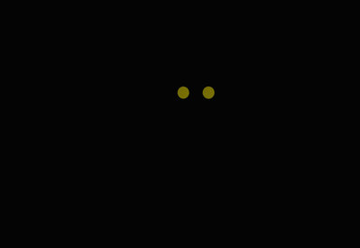 481a.jpg
