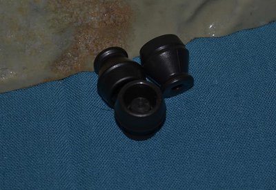 485.jpg