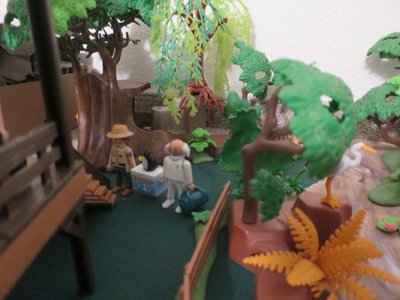 IMG_2049.jpg