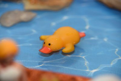 image8518.jpg
