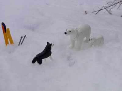 Expedition-26.jpg