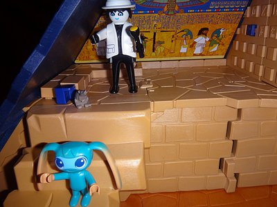 007.JPG