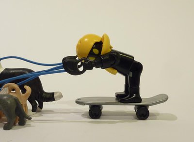 Sitter 15.JPG