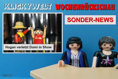 PM_WRückschau_SSDS.jpg