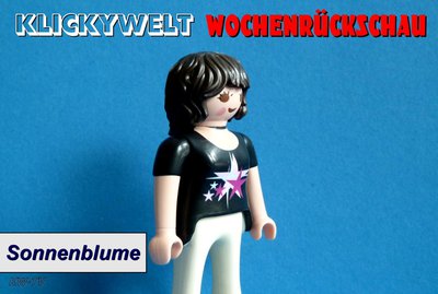PM_WRückschau_6-15.jpg