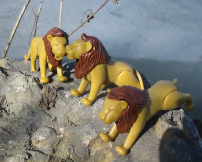 IMG_0127.jpg
