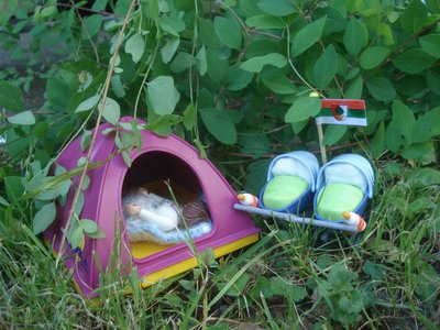 xAÖ 04 - Mai 2017.jpg (193.84 KiB) 3451 mal betrachtet xAÖ 04 - Mai 2017.jpg