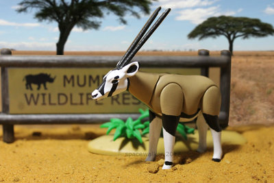 oryxantilope.jpg