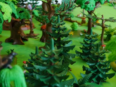 Wald 15.jpg