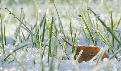 vergaenglichkeit.jpg (173.65 KiB) 1803 mal betrachtet vergaenglichkeit.jpg