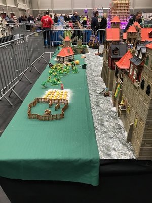 IMG_1091.jpg