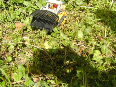BILD3207.JPG
