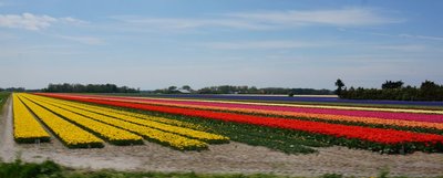 Holland9.jpg