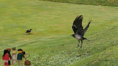 10-Rabe im Belvedere2.jpg