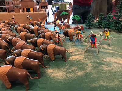 IMG_3821.jpg (294.96 KiB) 2277 mal betrachtet IMG_3821.jpg