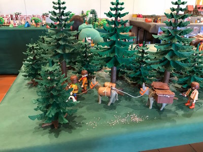 IMG_3832.jpg (251.53 KiB) 2275 mal betrachtet IMG_3832.jpg