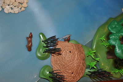 DSC_0926.jpg (280.06 KiB) 2300 mal betrachtet DSC_0926.jpg