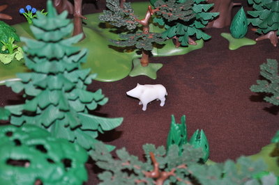 DSC_0957.jpg