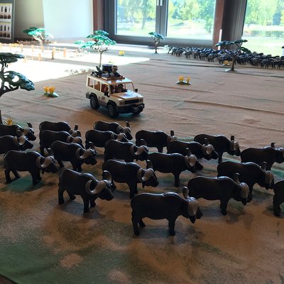 03AA67D1-8B1D-4BAC-B711-3AA0BFDE1C91.jpeg (310.74 KiB) 1386 mal betrachtet 03AA67D1-8B1D-4BAC-B711-3AA0BFDE1C91.jpeg