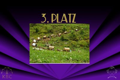 3 platz foto.jpg