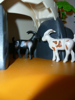 P1070002.JPG (162.78 KiB) 1267 mal betrachtet P1070002.JPG