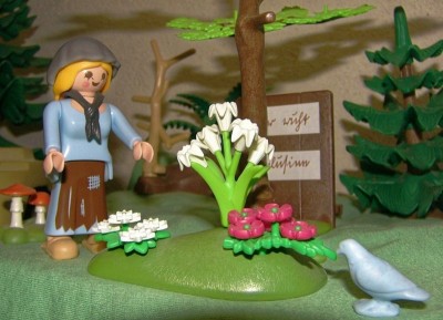 Asche 14.jpg