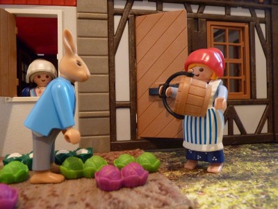 Hase 07.JPG