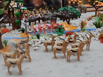 image3500.jpg