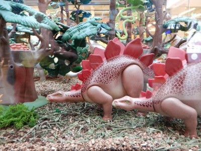 image3616.jpg