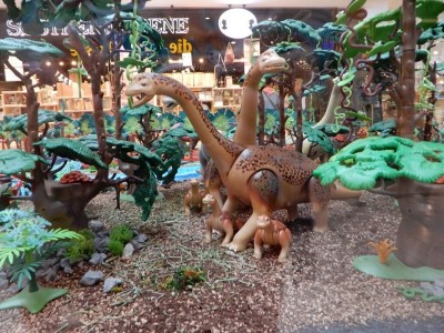 image3619.jpg