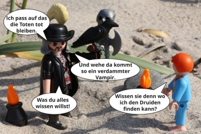 Druidensuche #02-21.jpg