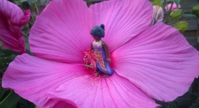 Blume 2.jpg (105.97 KiB) 1718 mal betrachtet Blume 2.jpg